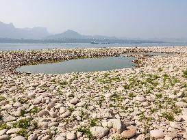 Low Water in The Yangtze River