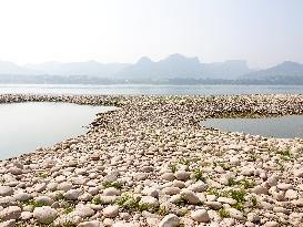 Low Water in The Yangtze River