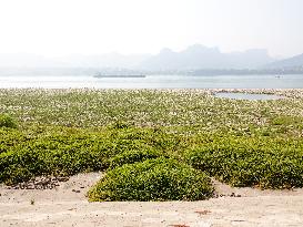 Low Water in The Yangtze River