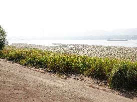 Low Water in The Yangtze River