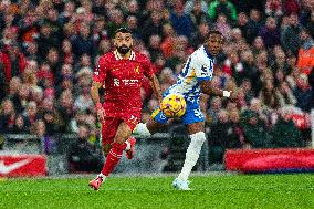 Liverpool FC v Brighton & Hove Albion FC - Premier League