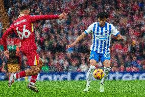 Liverpool FC v Brighton & Hove Albion FC - Premier League