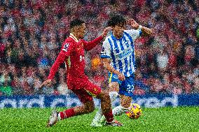 Liverpool FC v Brighton & Hove Albion FC - Premier League