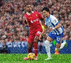 Liverpool FC v Brighton & Hove Albion FC - Premier League