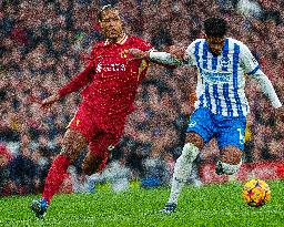 Liverpool FC v Brighton & Hove Albion FC - Premier League