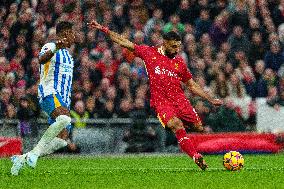 Liverpool FC v Brighton & Hove Albion FC - Premier League