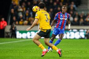 Wolverhampton Wanderers FC v Crystal Palace FC - Premier League