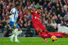 Liverpool FC v Brighton & Hove Albion FC - Premier League