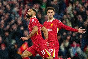 Liverpool FC v Brighton & Hove Albion FC - Premier League