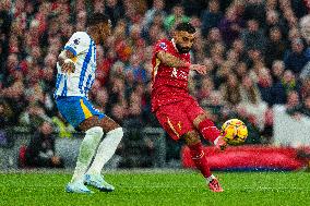 Liverpool FC v Brighton & Hove Albion FC - Premier League