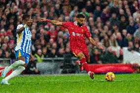 Liverpool FC v Brighton & Hove Albion FC - Premier League