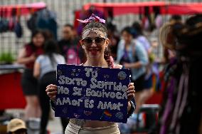 33rd LGBT Pride Parade