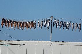 Dried Seafood Products