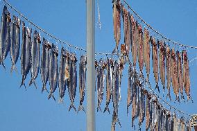 Dried Seafood Products