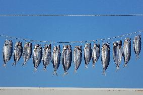 Dried Seafood Products