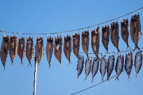 Dried Seafood Products