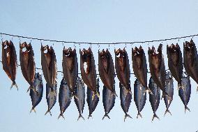 Dried Seafood Products