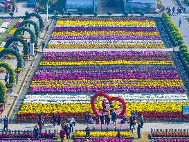 Chrysanthemum Garden