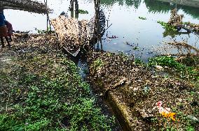 Fish In The Jalangi River Has Decreased Due To Pollution