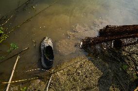 Fish In The Jalangi River Has Decreased Due To Pollution