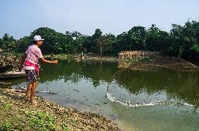 Fish In The Jalangi River Has Decreased Due To Pollution