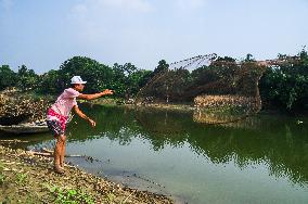 Fish In The Jalangi River Has Decreased Due To Pollution