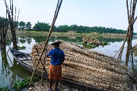 Fish In The Jalangi River Has Decreased Due To Pollution