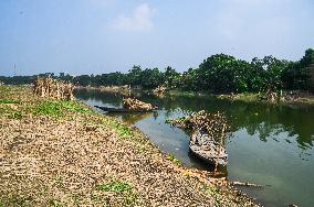 Fish In The Jalangi River Has Decreased Due To Pollution