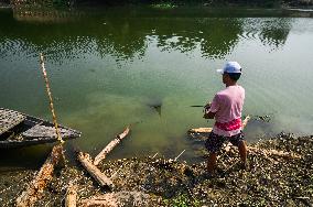 Fish In The Jalangi River Has Decreased Due To Pollution