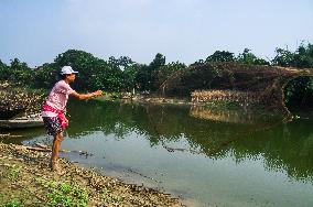 Fish In The Jalangi River Has Decreased Due To Pollution