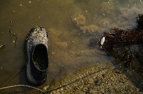 Fish In The Jalangi River Has Decreased Due To Pollution