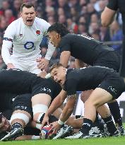 England against New Zealand - Autumn Nations Series International Rugby