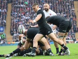 England against New Zealand - Autumn Nations Series International Rugby