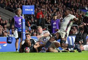 England against New Zealand - Autumn Nations Series International Rugby