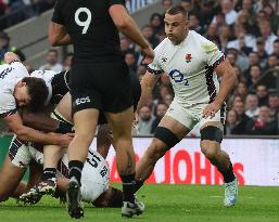 England against New Zealand - Autumn Nations Series International Rugby