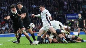 England against New Zealand - Autumn Nations Series International Rugby