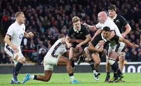 England against New Zealand - Autumn Nations Series International Rugby