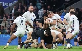 England against New Zealand - Autumn Nations Series International Rugby