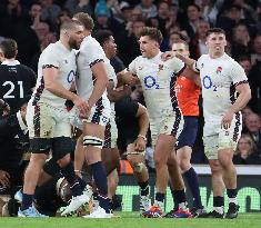 England against New Zealand - Autumn Nations Series International Rugby