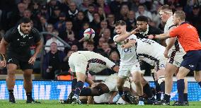 England against New Zealand - Autumn Nations Series International Rugby