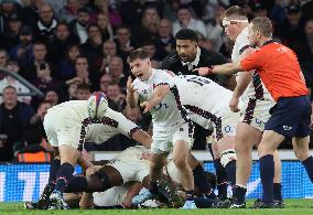 England against New Zealand - Autumn Nations Series International Rugby