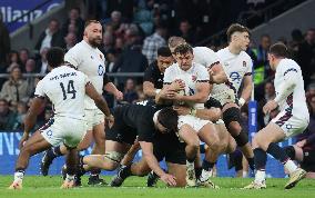 England against New Zealand - Autumn Nations Series International Rugby