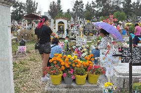 Day Of The Dead Graves Decorations