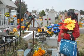 Day Of The Dead Graves Decorations