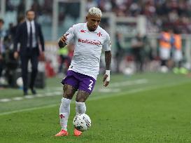 Torino v Fiorentina - Serie A