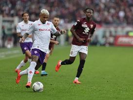 Torino v Fiorentina - Serie A