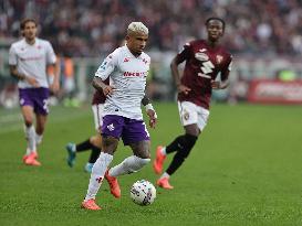 Torino v Fiorentina - Serie A