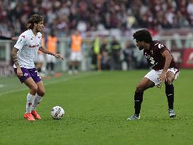 Torino v Fiorentina - Serie A