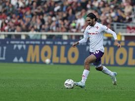 Torino v Fiorentina - Serie A