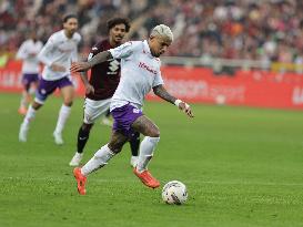 Torino v Fiorentina - Serie A